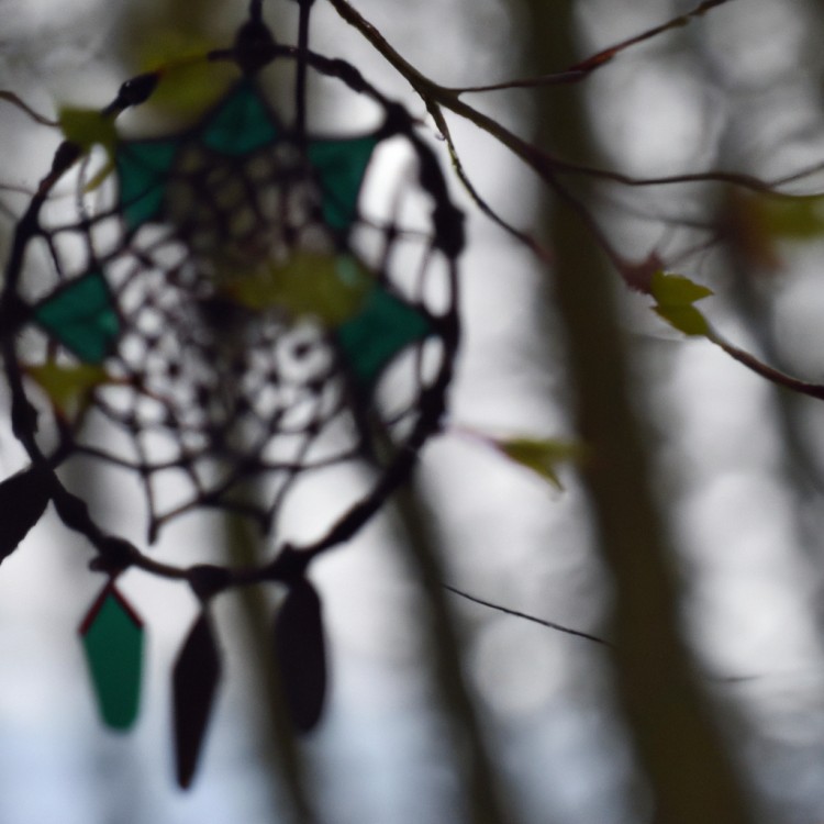 L'importance des dream catchers